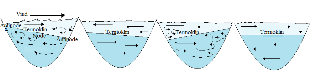 Figur 6 Seicher er stående svingninger som kan skapes når langvarig vind avtar og innsjøen går tilbake til sin likevekt. Bearbeidet fra geo.mtu.edu. 3.1.3 Synkehastighet av celler og kolonier.