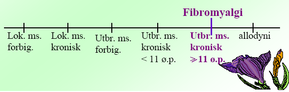 Kontinuitetsteori?