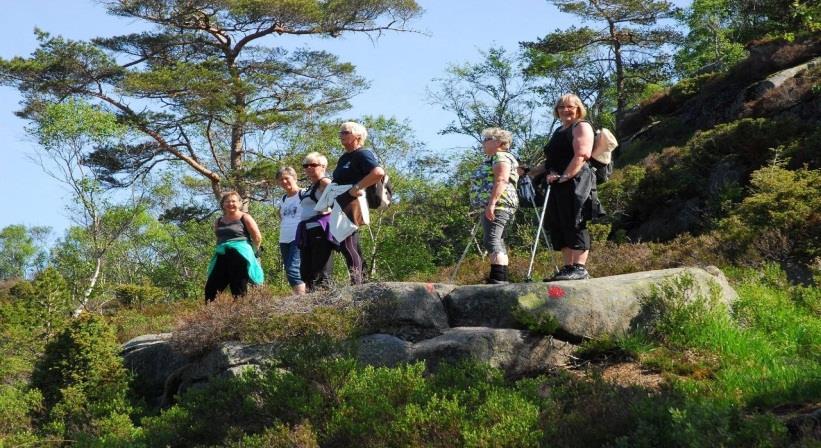 Visste du at Flekkefjord Frivilligsentral har ca. 150 aktive frivillige i tillegg alle natteravnene.