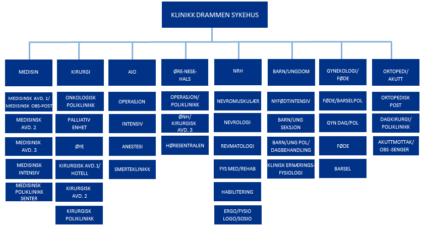 De øvrige tre klinikkene er tverrgående klinikker som leverer tjenester til de andre klinikkene, samt noen tjenester direkte til publikum.