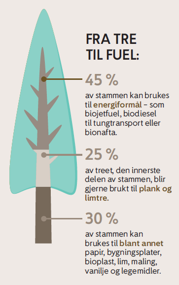 ETISK OG FORRETNINGSMESSIG RIKTIG ENGASJEMENT Luftfart er viktigere i Norge enn i mange andre land Trafikkveksten skal ikke medføre økte utslipp Luftfart har