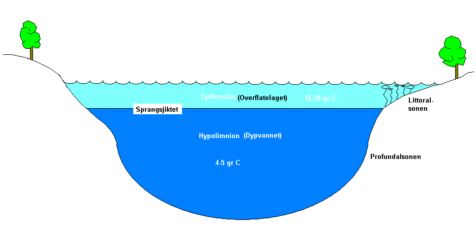 Det vil bli lengere sommerstagnasjon, varmere vann i dypvannet økt oksygenvinn økt fare for intern gjødsling økt