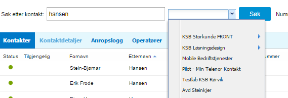 For kataloger med over 2000 interne oppføringer/kontakter er søkemetoden alltid satt til Statisk søk. 3.13