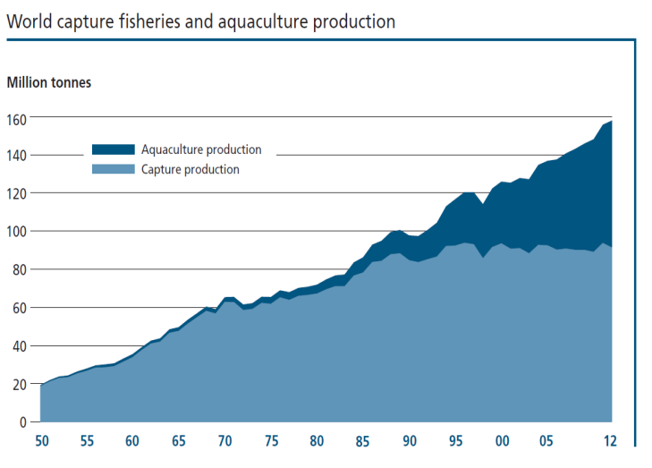 "stagnerer" - mye av økningen må komme gjennom akvakultur Størst