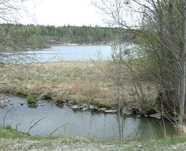 STORGRAVA Vassdrag: Årungenvassdraget Vannforekomst (PURA): 14 Vannforekomst (Vann-nett): 005-56-R Beliggenhet: Frogn Vanntype: 11 (leirpåvirkete elver) Påvirkning: Eutrofiering Tilførselsbekk til