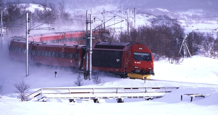 Fylkesberedskapsrådet