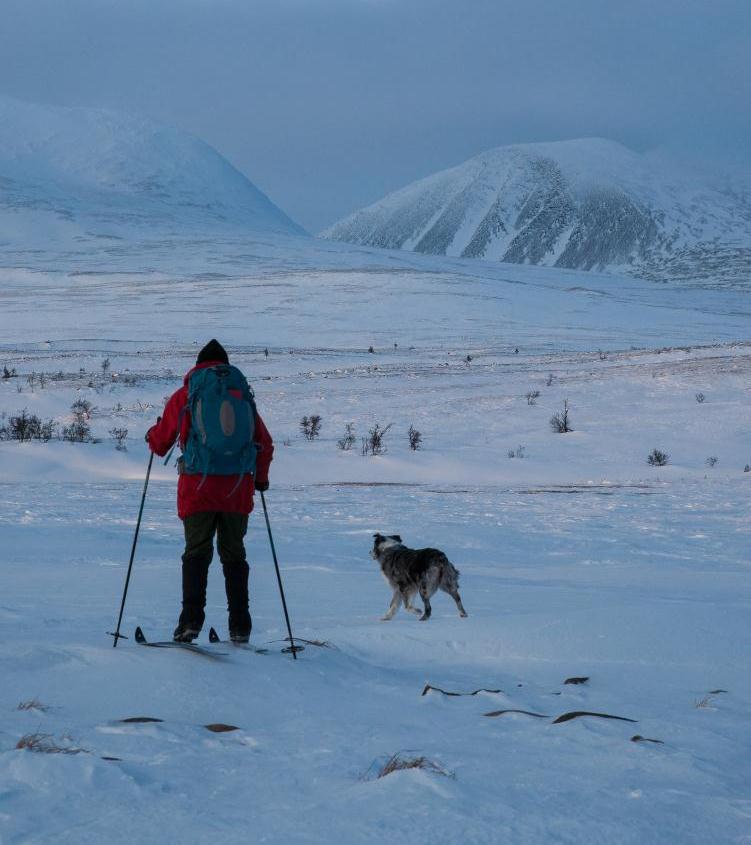 SØLEN LANDSKAPSVERNOMRÅDE Opprettet ved kongelig resolusjon av 18. februar 2011 (456,4 km2) Forvaltningsplanarbeid i samarbeid med lokal referansegruppe 2010-2011.