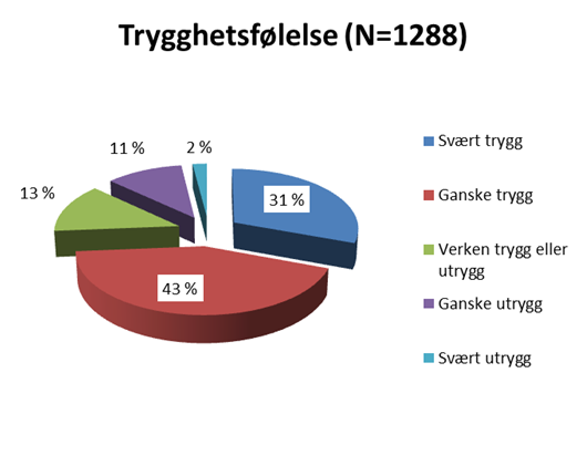 4 TRYGGHETSFØLELSE, TILFREDSHET MED SYKKELTILBUDET OG ULYKKESERFARING 4.