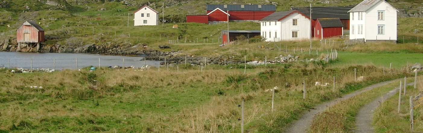 Inntil 2002 hadde tre brukere på Været 44 sauer hver beitende på øya. Også noen av småholmene ble beitet, blant annet Kåløya og Langøya. I tillegg ble rundet 45 daa høstet til fôr.