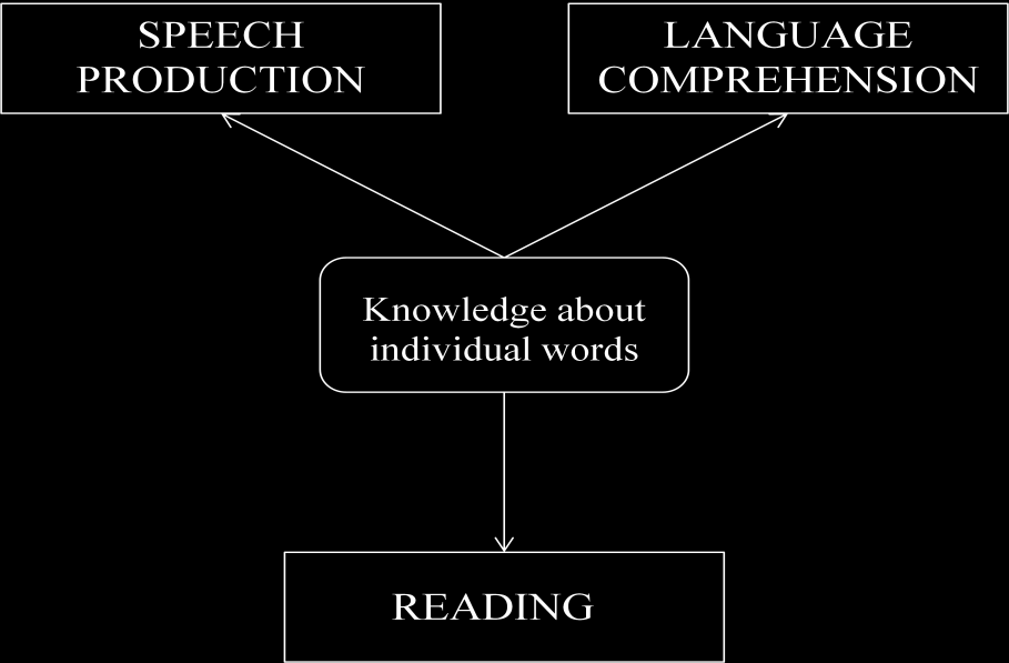 Figur 3: Viktigheten av kunnskap om ord i språk (The central role of words in language) (Gathercole, 1993, s.