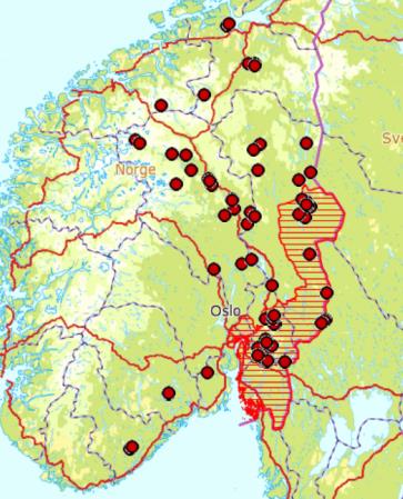 Figur. Kartet til venstre viser stadfestede synsobservasjoner av ulv i løpet av april og mai i 2013. Kartet i midten viser påviste skader av ulv i 2012 og kartet til høyre pr. 5. august i 2013.