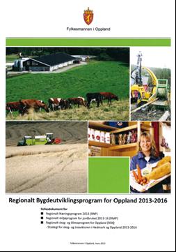 Regionalt bygdeutviklingsprogram Fylkesmannen i Oppland har utarbeidet «Regionalt bygdeutviklingsprogram for Oppland 2013 2016» på oppdrag fra LMD, slik det også var signalisert i den nasjonale