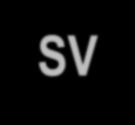 Slagvolumenvariasjon SVV < 10 % SVV = (SVmax SVmin) / SVmean Samme forutsetninger som PPV Baserer seg på