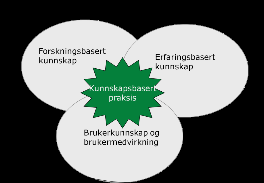 I tillegg vil forhold som motivering, intuisjon og følelse, fysisk og psykisk energi, lederskap og organisering, og bruk av andres kompetanse ha betydning.