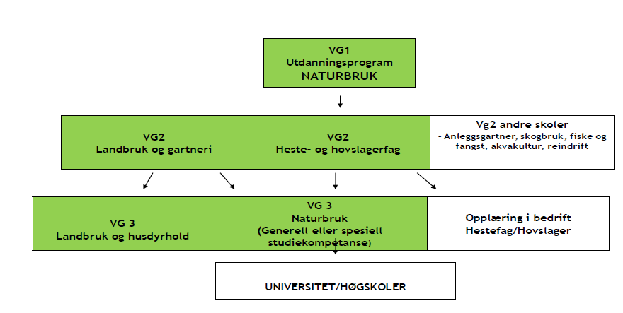 VEDLEGG 2: Målformulering omkring de ulike fasene i prosjektet.