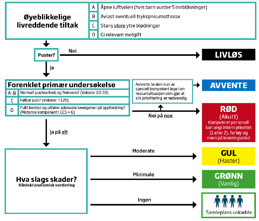 skadene. I en grovsortering vil nødstedte med allerede eksisterende medisinsk behov bli plassert på samleplass for uskadde. Etter grovsorteringen gjennomføres en individuell triagering.