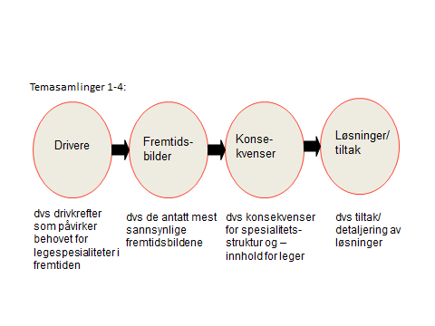 de regionale helseforetakene, helseforetakene og kommunehelsetjenesten.