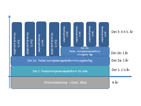 En modell for de kirurgiske spesialiteter kan da se slik ut: Del 1 felles med alle andre Del 2A som en felles faglig kompetanseplattform for alle de kirurgiske hovedspesialiteter.