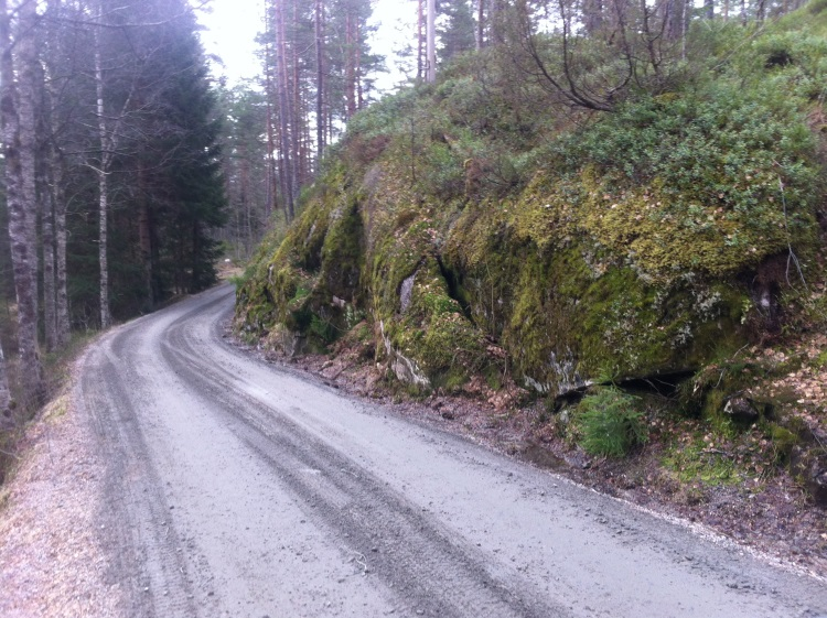 3.3 Smedsland. Utbedring, forsterkning, autovern og asfaltering. Den kommunale veien starter ved Fv 42. går forbi Sveindal museum på Vestre Sveindal og ender på Smedsland. Totallengde er 2,4 km.