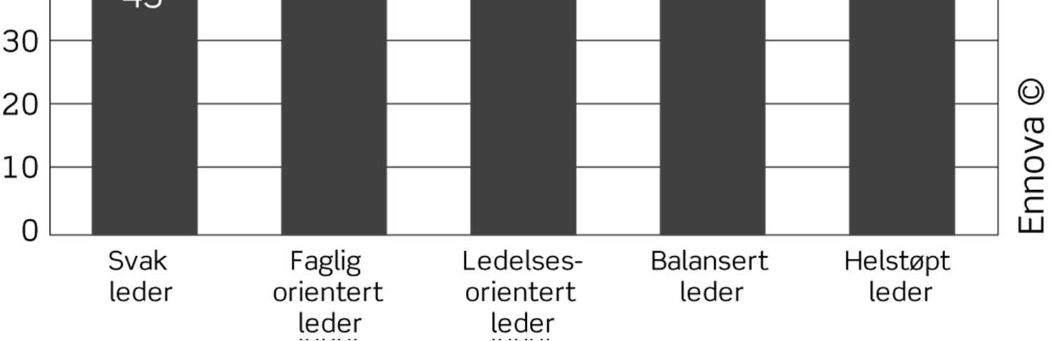 Faglig og personlig utvikling: Svake ledere