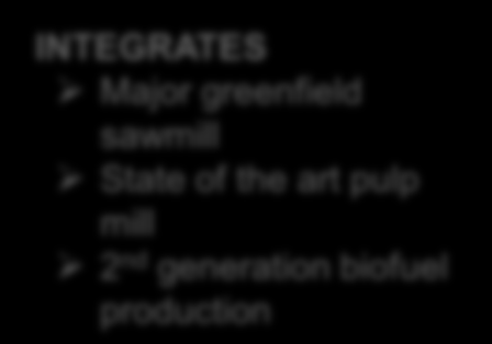 WORK PROCESS FOR STEP 1 PRODUCTS EVALUATED Wood fibre and chips Pulps BSKP UKP CTMP Dissolving Solid wood products Sawnwood GLM CLT Plywood LVL Wood-based panels MDF Particle board Wood based