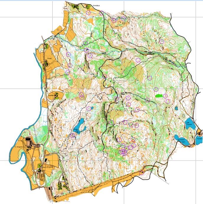 Samarbeidskartet med Heming nordområdet Wyller- Ringerikstjern.