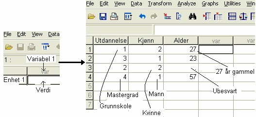 Tabell 2. Punching av variabelinformasjon Hva? Symbol Forklaring Name: Kort navn på variabel i ett ord Type: Label: Values: Measure 1.