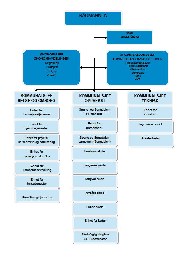 4.2 Barneverntjenesten i Søgne kommune Organisering og gjennomføring av barneverntjenesten varierer fra kommune til kommune.