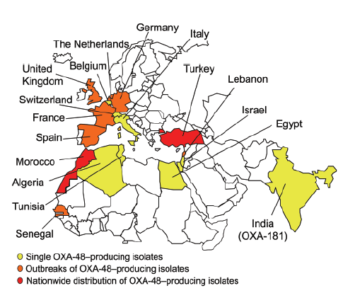 SPREDNING AV OXA-48 Tyrkia 2001 Nordmann P. et al. Emerg. Infect. Dis. 2011:17:1791-1798; Glasner C.