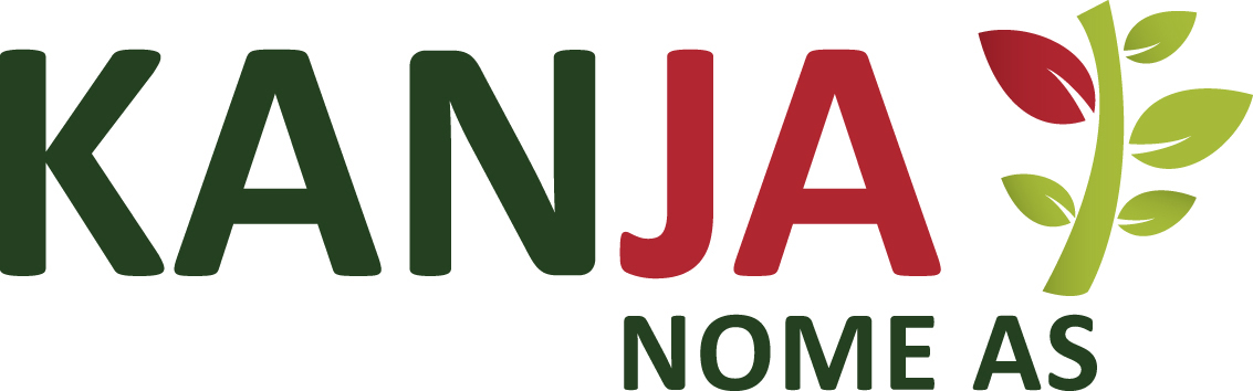Innholdsfortegnelse Innledning... 3 1 Tiltaksarrangør KanJa Nome AS visjon og verdigrunnlag... 4 1.1 Om bedriften... 4 1.2 Formål... 6 1.3 Visjon og verdigrunnlag... 6 1.4 Nøkkelprosesser... 8 1.4.1. Sammenheng i leveranse av tjenester.
