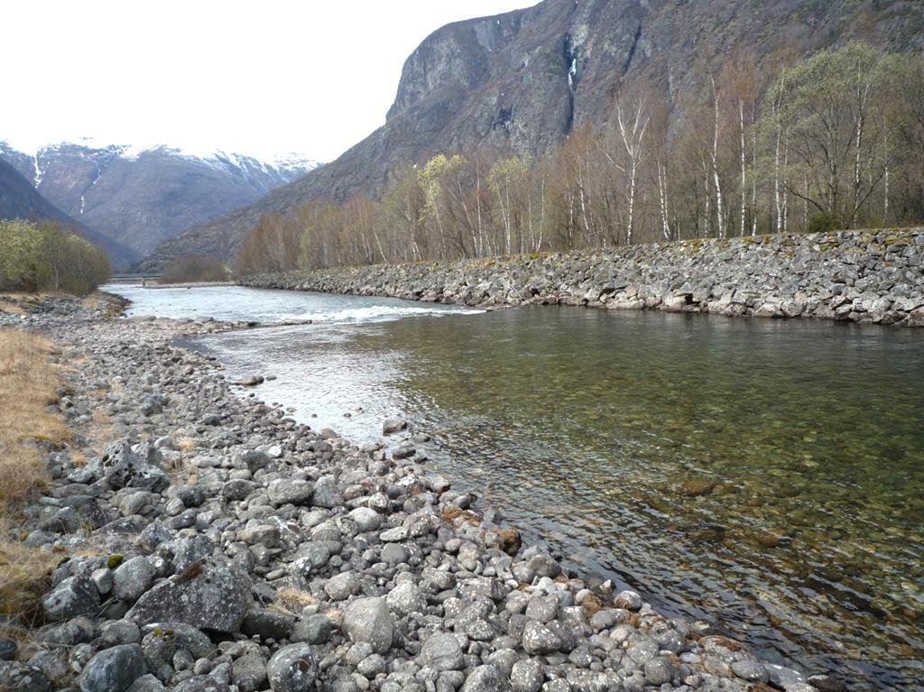 FISKERIBIOLOGISK INNSTILLING ANBEFALING OM TIDSPUNKT OG VANNFØRING I LÆRDALSELVA VED RENOVERING AV