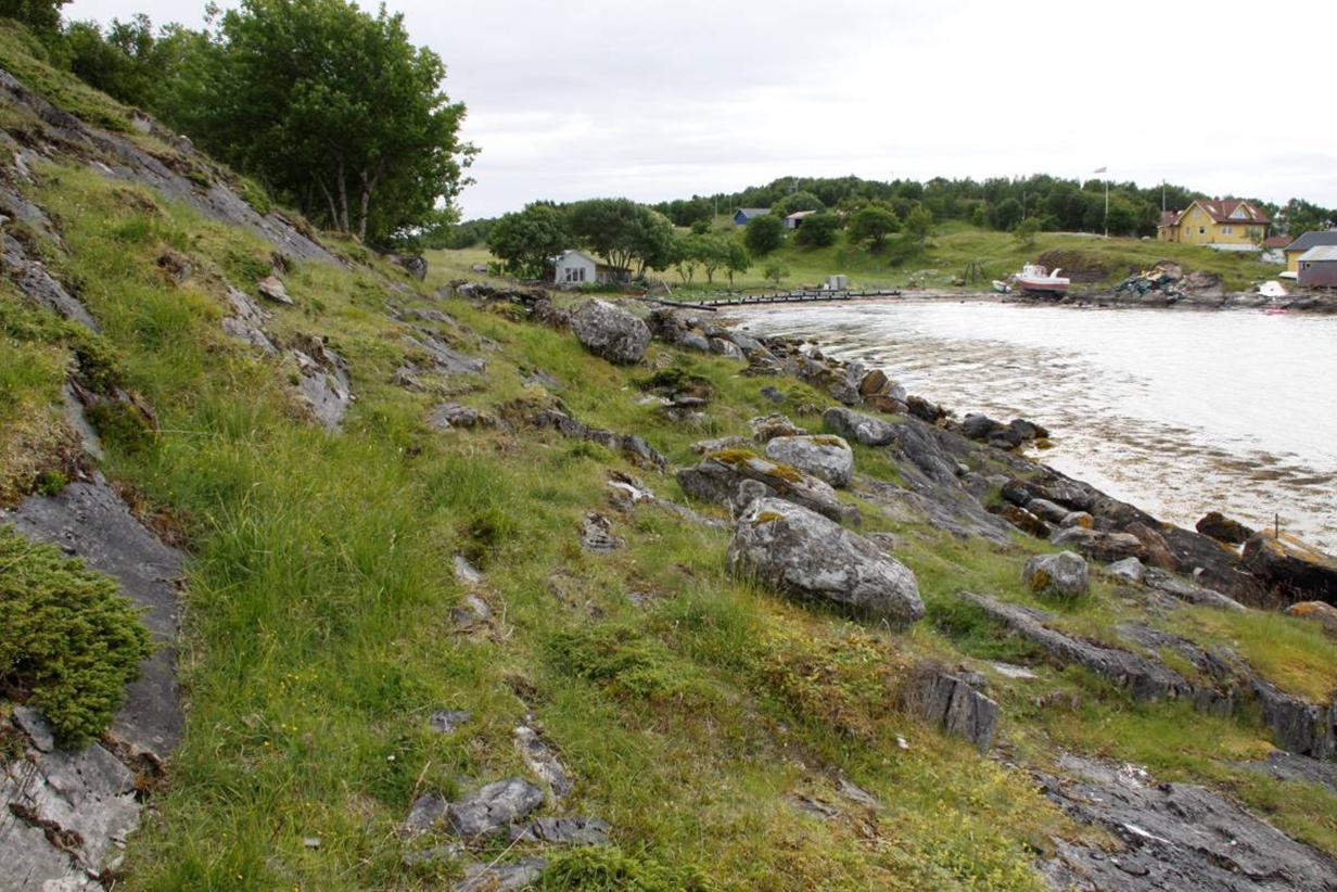 VEDLEGG 1 Skjøtselsplan for slåttemarker på Sør-Åkerøya, Alstahaug kommune, Nordland fylke FIRMANAVN OG ÅRSTALL: BIOFORSK NORD TJØTTA - 2011 PLAN/PROSJEKTANSVARLIG: OPPDRAGSGIVER: