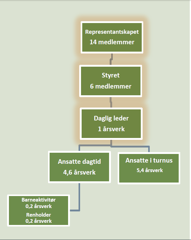 NEDRE ROMERIKE DISTRIKTSREVISJON I tillegg kan selskapsavtalen innholde eierstyringselementer som må følges.