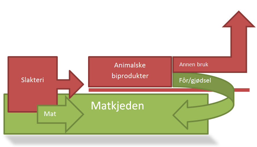 1. Innledning Et animalsk biprodukt er kort fortalt en del av et dyr eller produkter fra dyr som ikke skal anvendes til humant konsum.