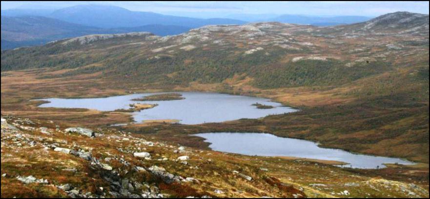 Ut fra denne henvendelsen ga Miljøverndepartementet Fylkesmennene i Nord - og Sør-Trøndelag i oppdrag å utrede muligheten for å opprette nasjonalpark på Nord-Fosen.