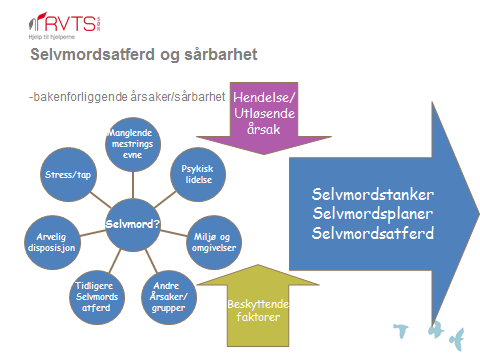 Hvorfor tar