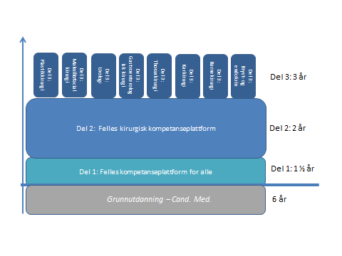 Figur 9.6 Spesialitetsstruktur for kirurgiske spesialiteter del 3 Grenseoppgangene mellom dagens grenspesialiteter virker innbyrdes godt begrunnet.