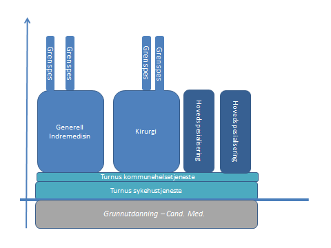 Figur 4.1 Dagens spesialitetsstruktur Det har også utviklet seg subspesialiteter som kan bygge enten på hovedspesialitet eller som en videreutdanning av en grenspesialitet i et avgrenset fagområde.