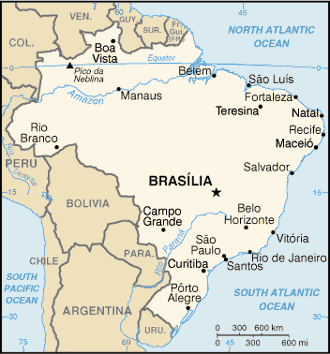 Geografiske utfordringer Brasil Innførselskrav Krav til sjøfraktdokumenter og brasiliansk rederi dersom kjøperen er en offentlig etat krav til detaljerte