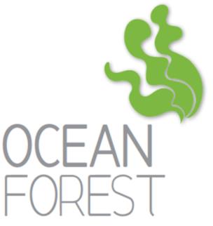 Ocean Forest Ocean Forest utvikler konsepter for integrert multitrofisk havbruk og produksjon av biomasse i havet.