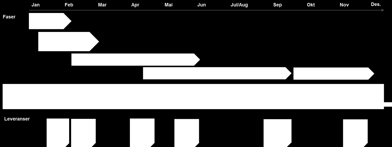 Tidsplan for arbeidet er som følger:. Leveranser og milepæler er tilpasset planlagte møter i e-helsestyret med delleveranser underveis.