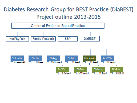 kompetanse hos helsepersonell og helsetjenesteforskning Diabetes