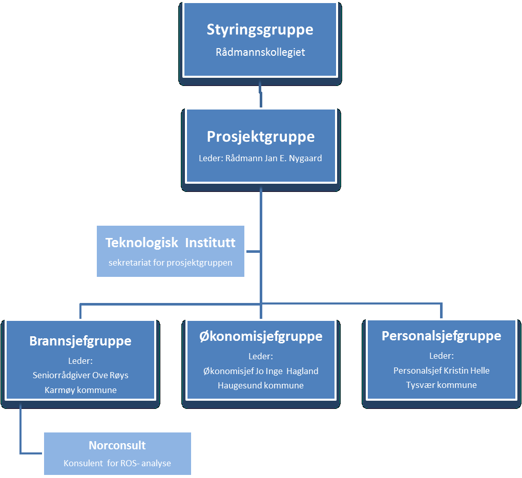 Prosjektarbeidets organisering: Prosjektrapport og ROS- analyse: Prosjektgruppen leverte sin avsluttende prosjektrapport med vurderinger og anbefalinger, samt en egen rapport om Risiko og