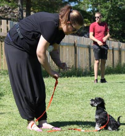 I vinterhalvåret trener vi i Sørlandets Hundehall på mandager og onsdager med både nybegynnergruppe og konkurransegrupper!