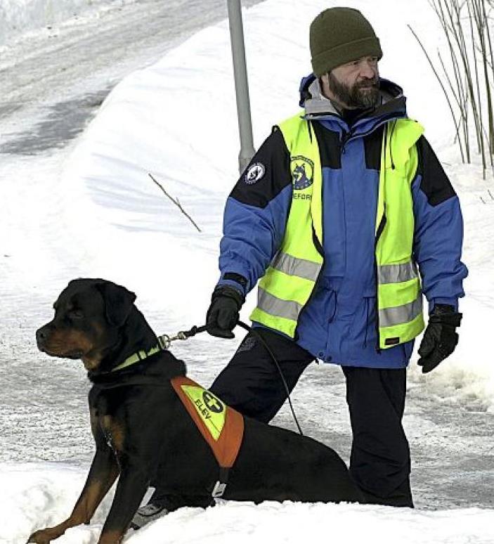 Om løpetid, trening og konkurranser Løpske tisper og fyrrige hannhunder, ja, det er ikke alltid like lett å takle.