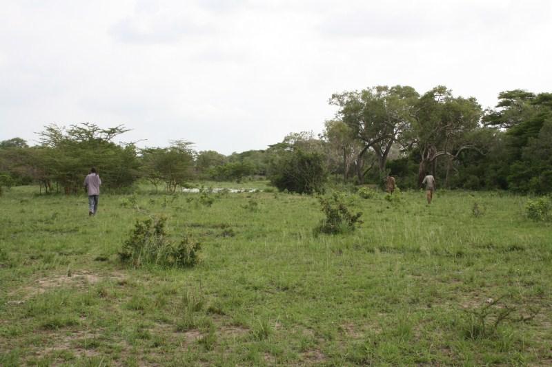 Globe Forestry Mukuyu Farm, Kibwezi