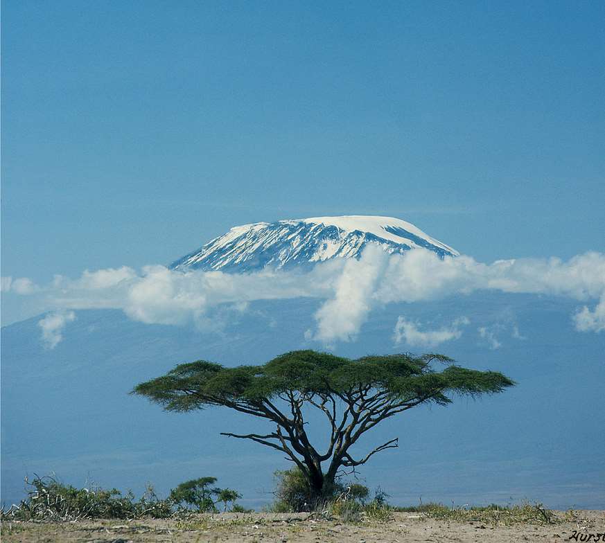 KILIMANJARO VANDRING TIL AFRIKAS