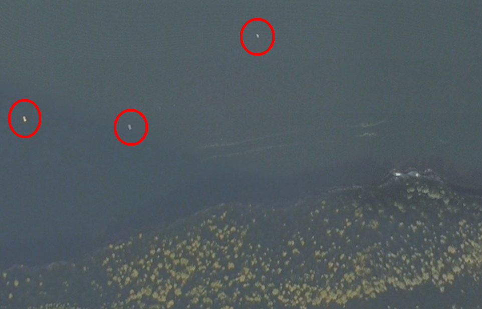 Flyfoto fra en kartside på internett som viser 3 båter som ligger i ro utenfor Furneset og fisker.