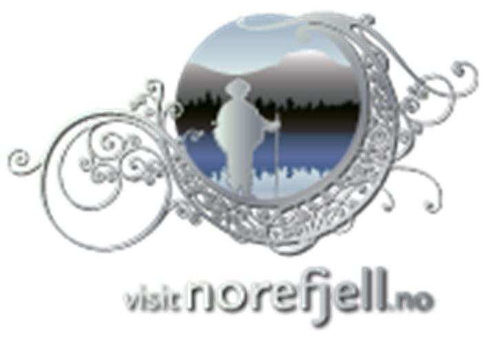 visitnorefjell Status Rapport 2010-2012 Innledning visitnorefjell er inne i avslutningen av sitt tredje år som profilerings- og markedsføringsprosjekt for Norefjell regionen.