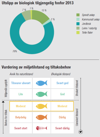 NIVA har konkludert med at miljøtilstanden for vassdragene i Nes er fra moderat til svært dårlig. I henhold til vannforskriften betyr det at Nes kommune må iverksette tiltak for å nå miljømålene.